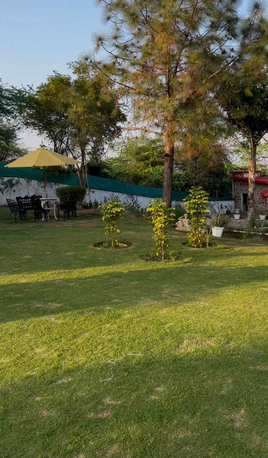 D39 Farm