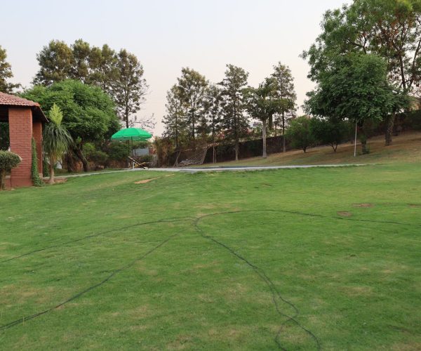 WhatsApp Image 2024-08-04 at 6.16.21 PM