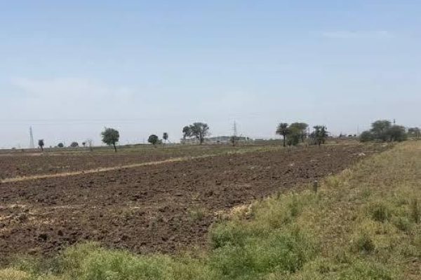 WhatsApp Image 2024-08-05 at 9.57.45 PM